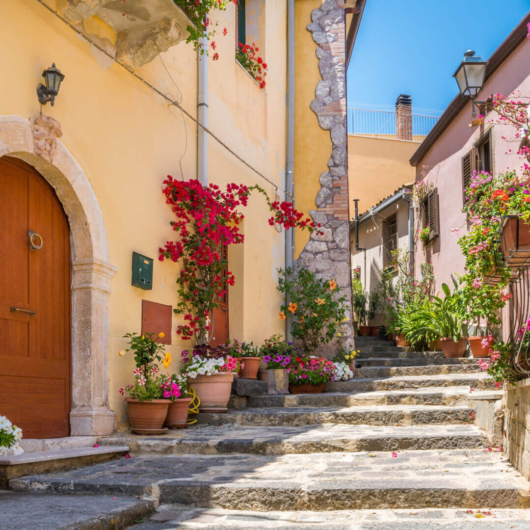 shutterstock_1200077905 shutterstock_1200077905